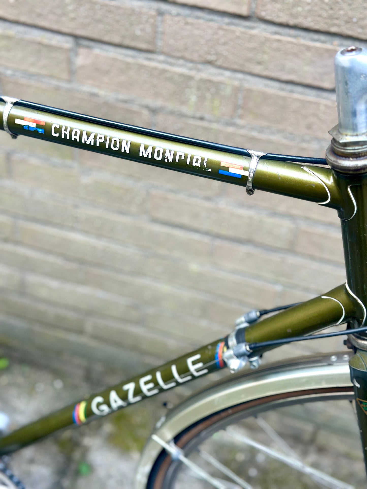 Gazelle Champion Mondial Campagnolo 60cm