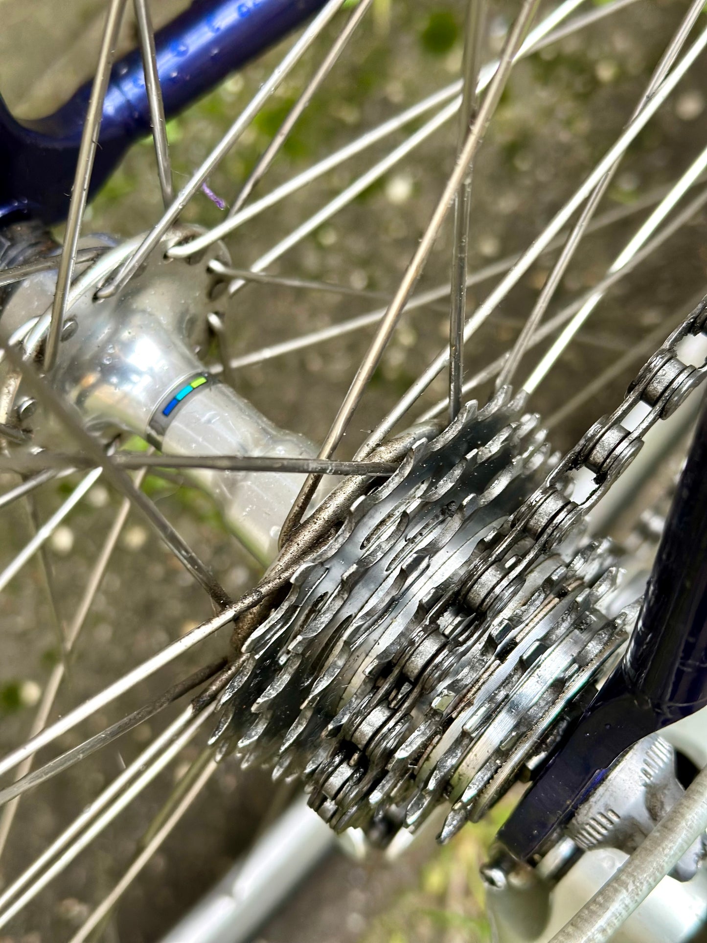 Giant Cadex Cfr 61cm Shimano 105