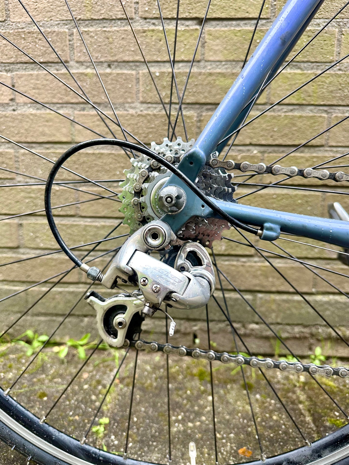 Storck Scenario Race 56cm Campagnolo Daytona 9s
