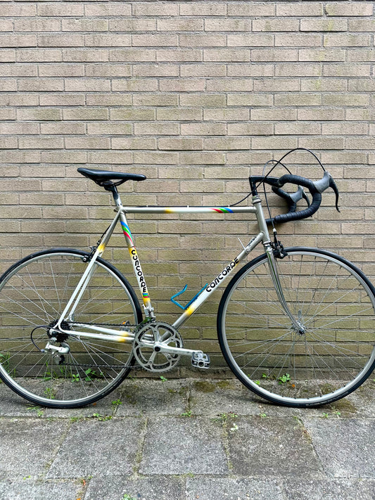 Concorde 60cm