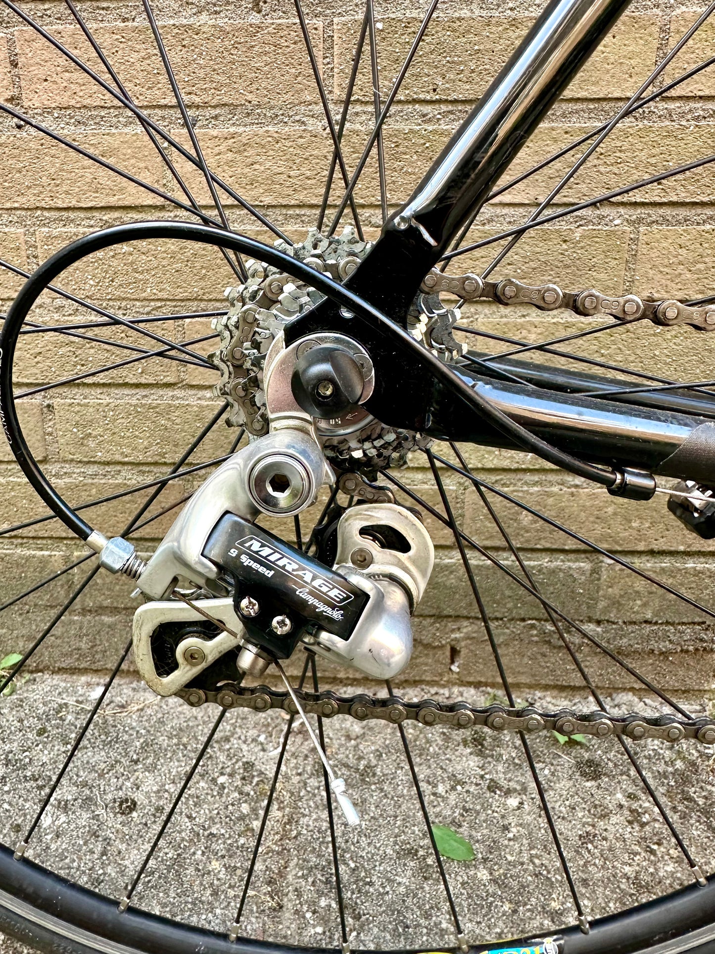 Giant OCR 56cm Campagnolo 9s