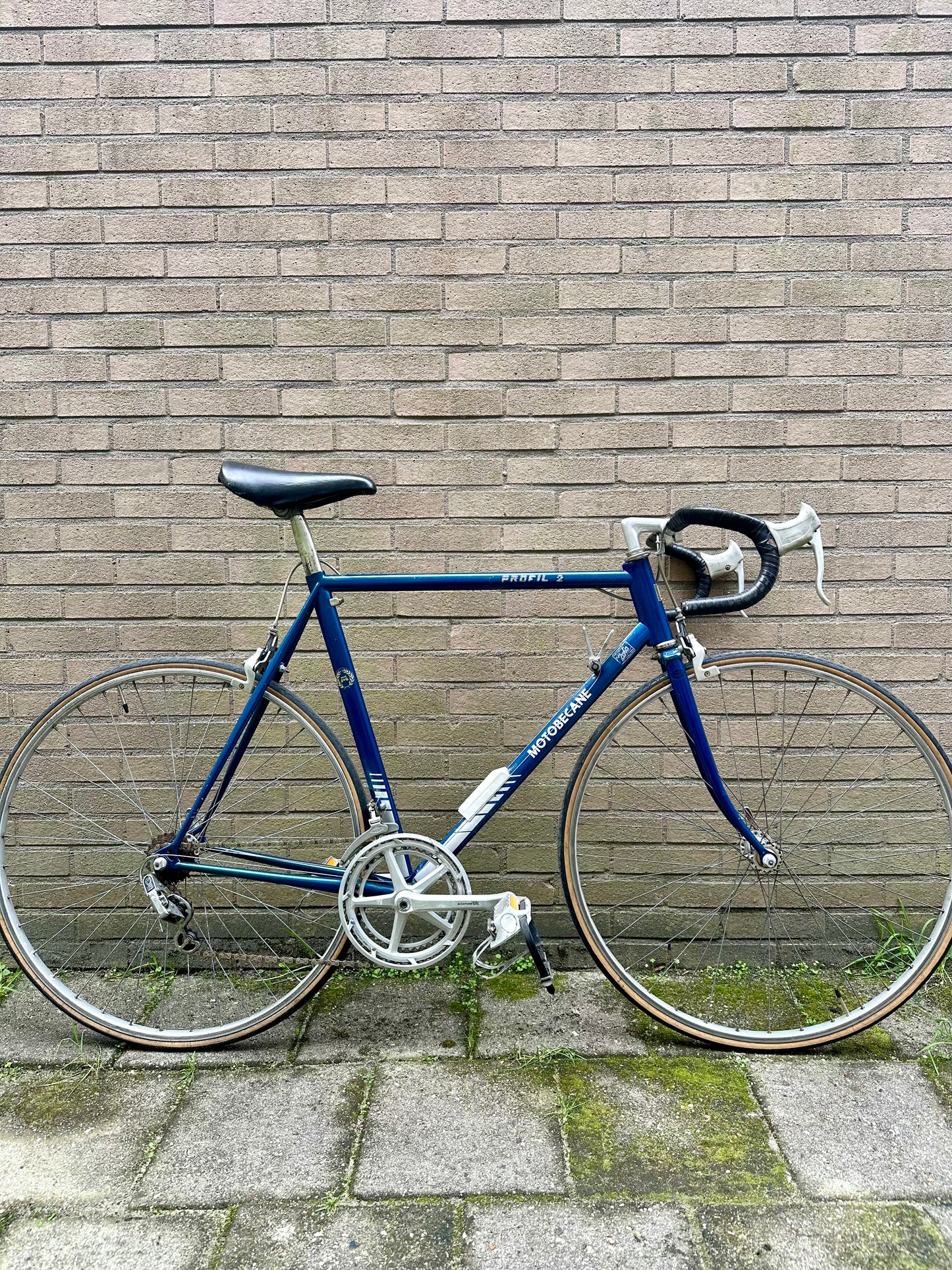 Motobecane Profil 2 56cm