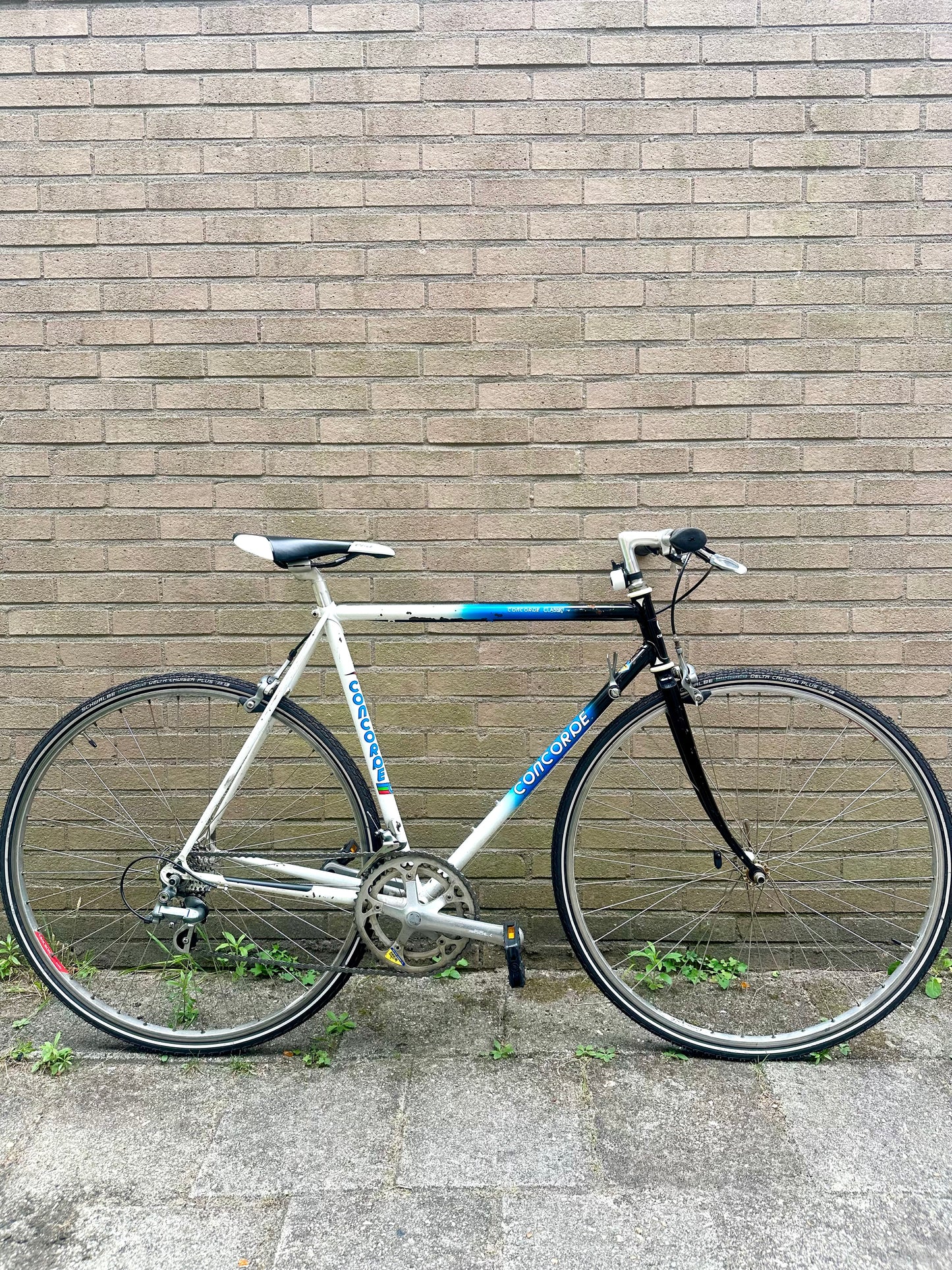 Concorde Classic 54cm