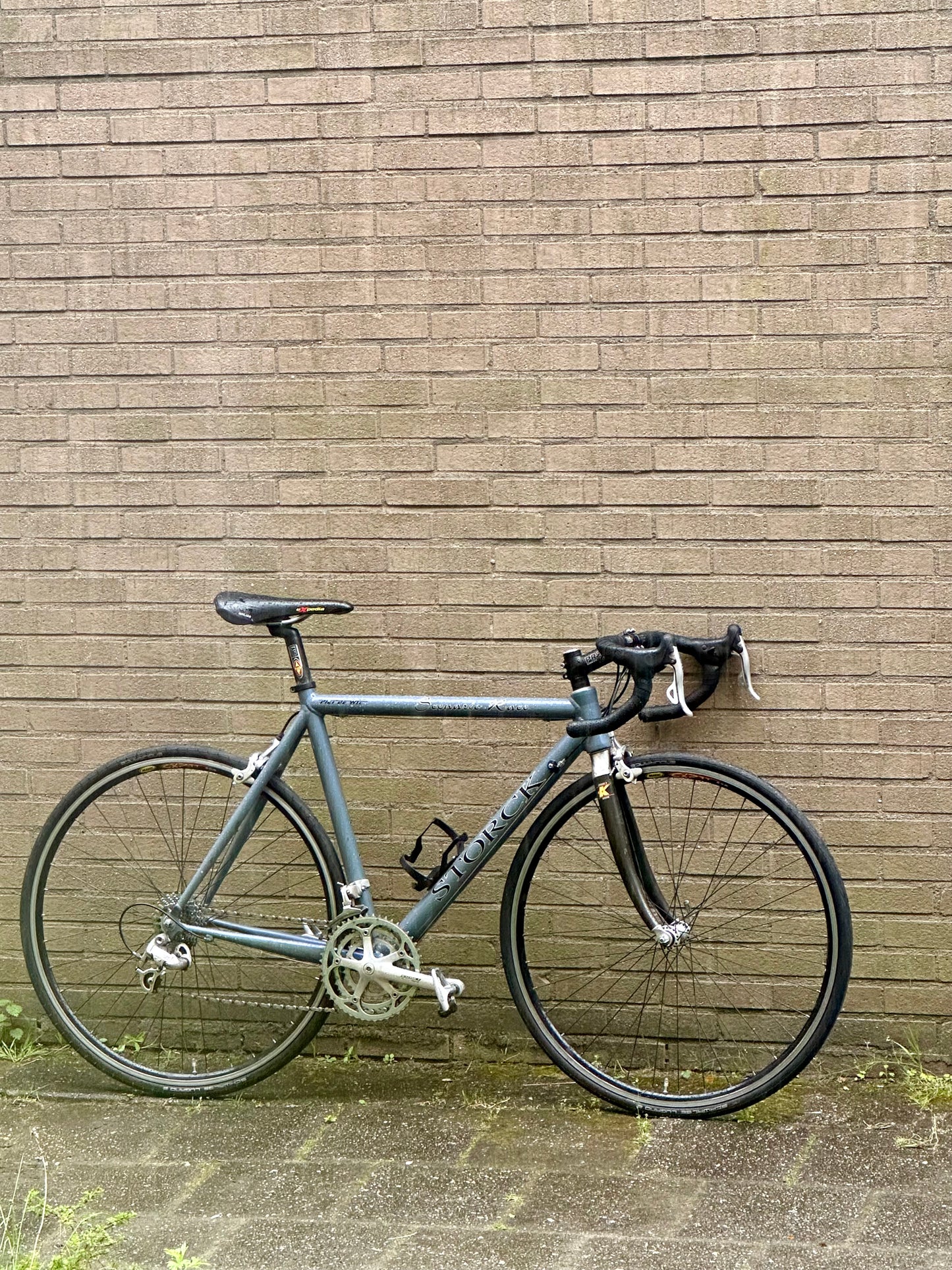 Storck Scenario Race 56cm Campagnolo Daytona 9s