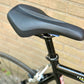 Giant OCR 56cm Campagnolo 9s