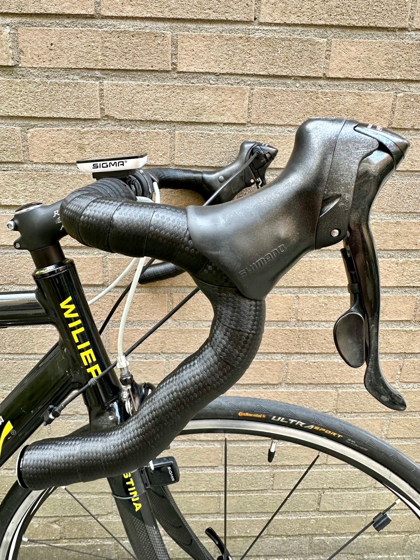 Willier Triestina Evosian 55cm Shimano 105