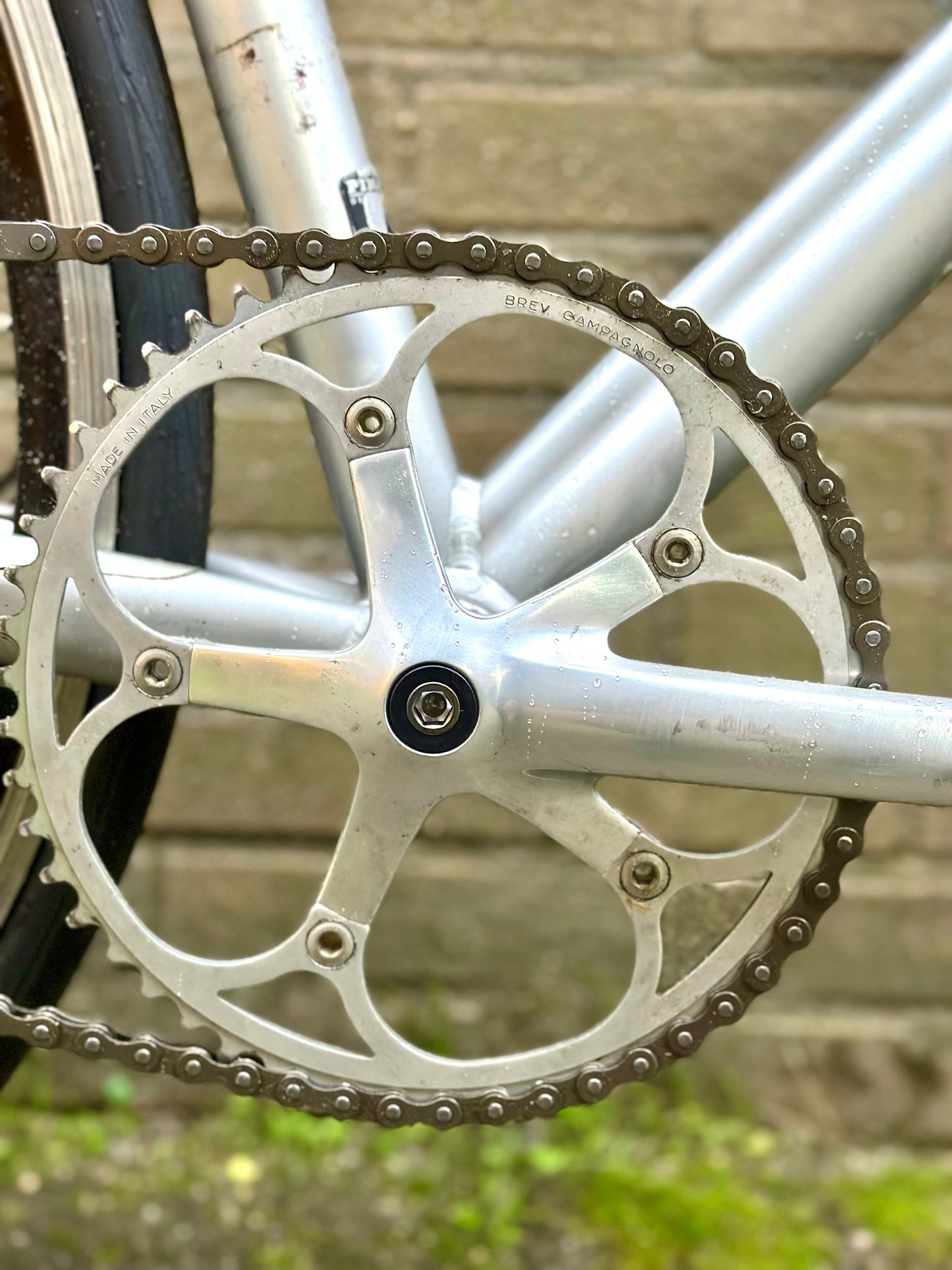 Pinarello Galileo single speed