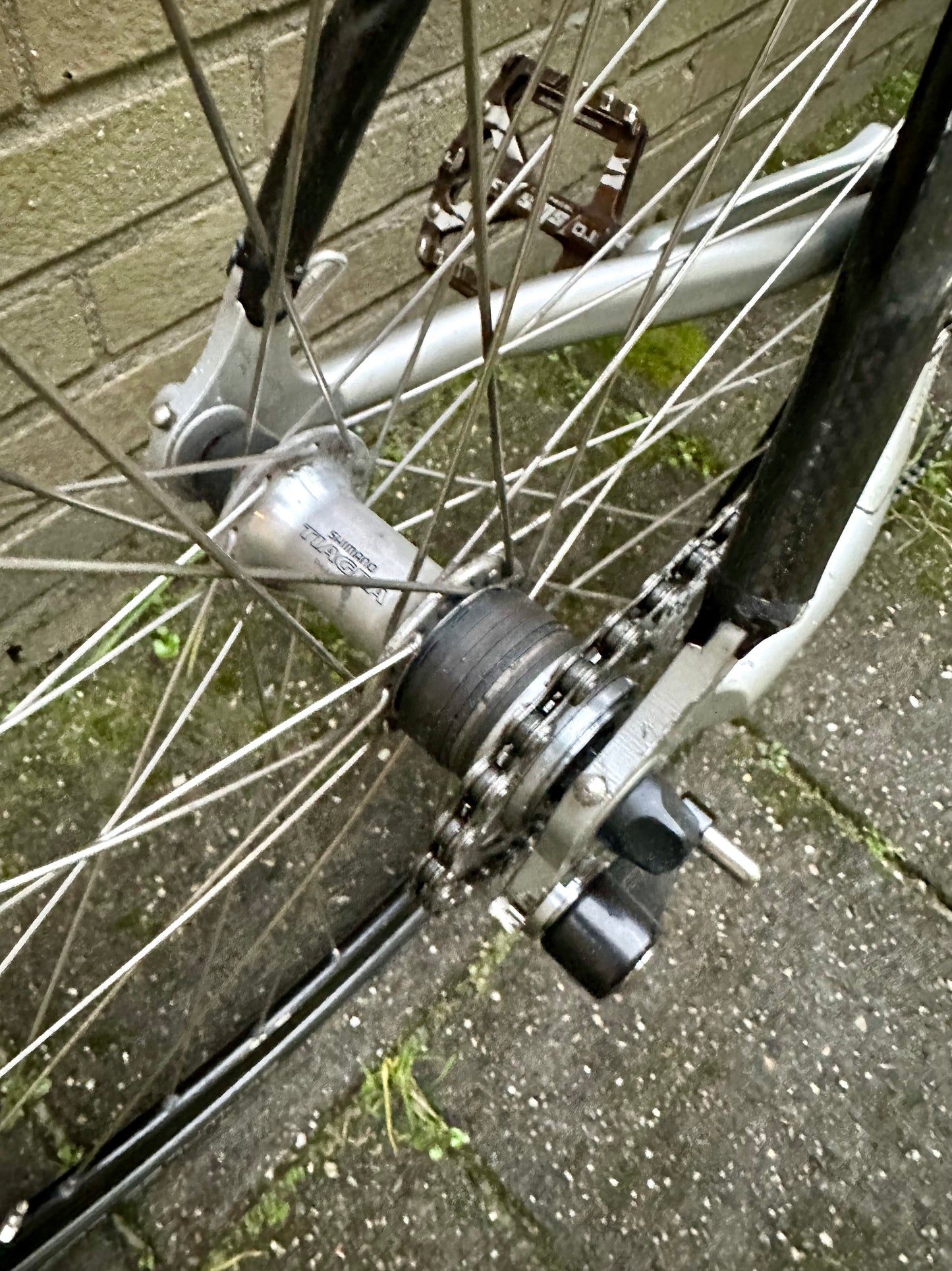 Pinarello Galileo single speed