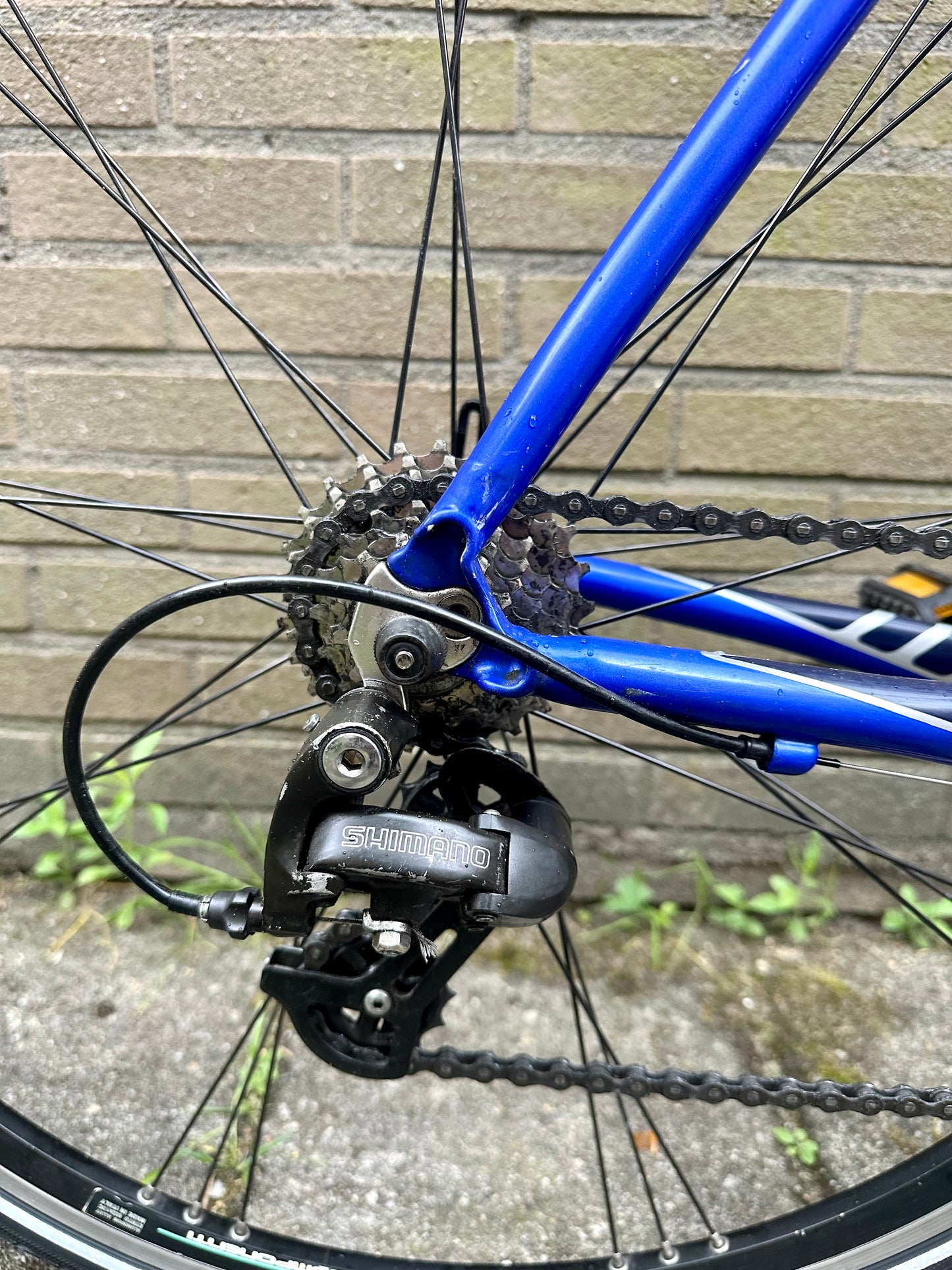 Bianchi Nirone 56cm