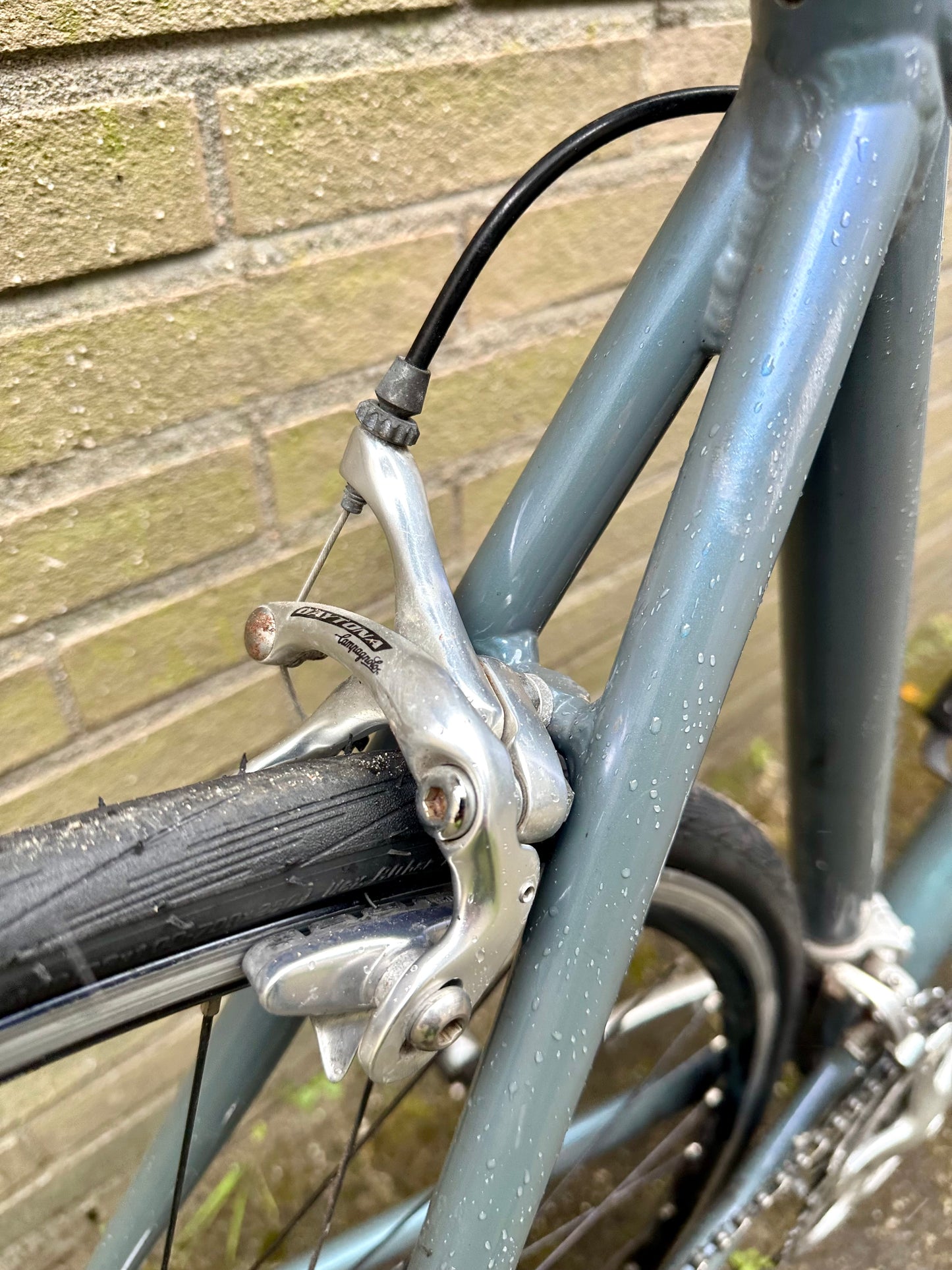 Storck Scenario Race 56cm Campagnolo Daytona 9s