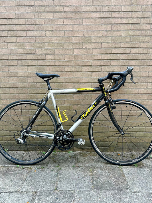 Willier Triestina Evosian 55cm Shimano 105