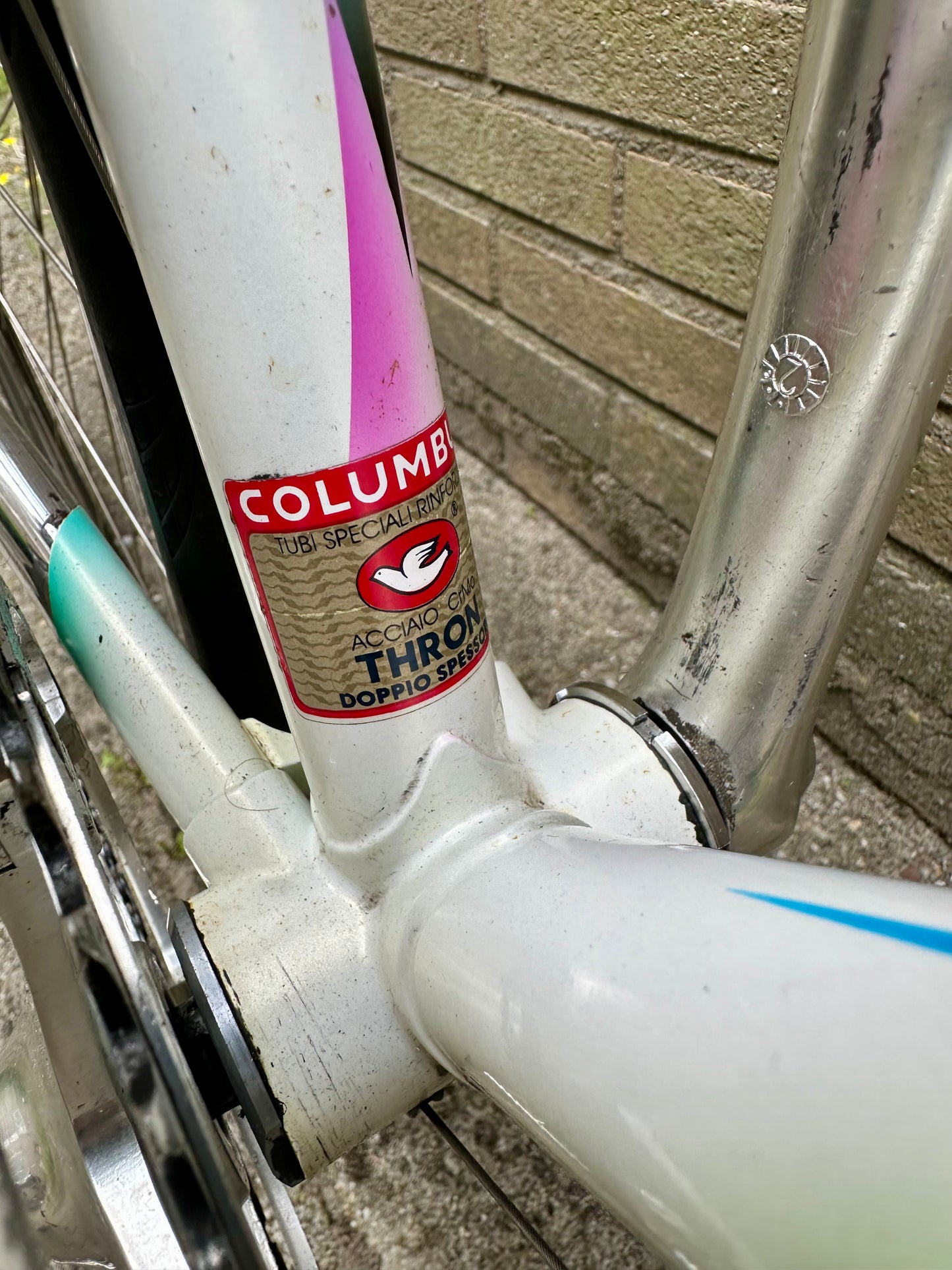 Concorde Columbus Thron 59cm