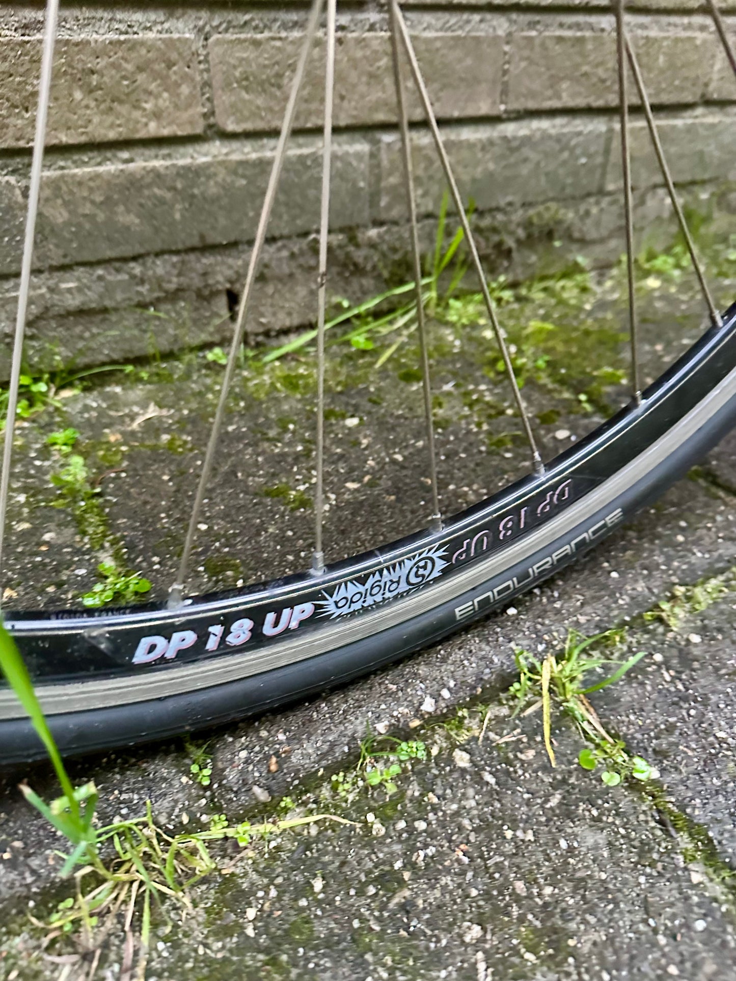 Pinarello Galileo single speed