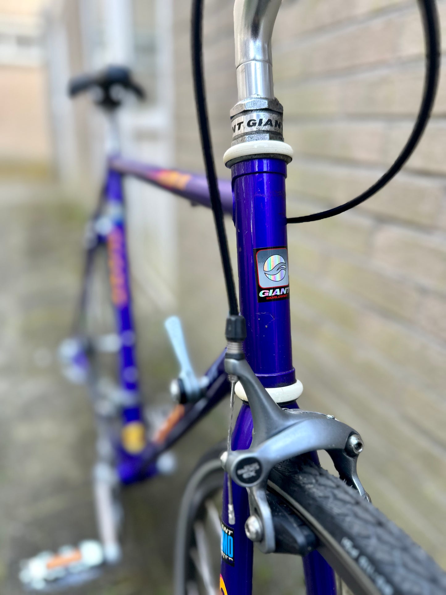 Giant Peloton Lite 56cm