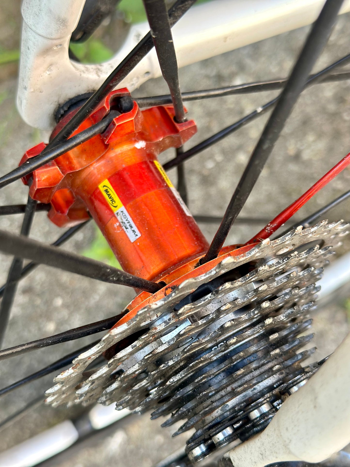 Stevens Stelvio Shimano 105 10s 60cm