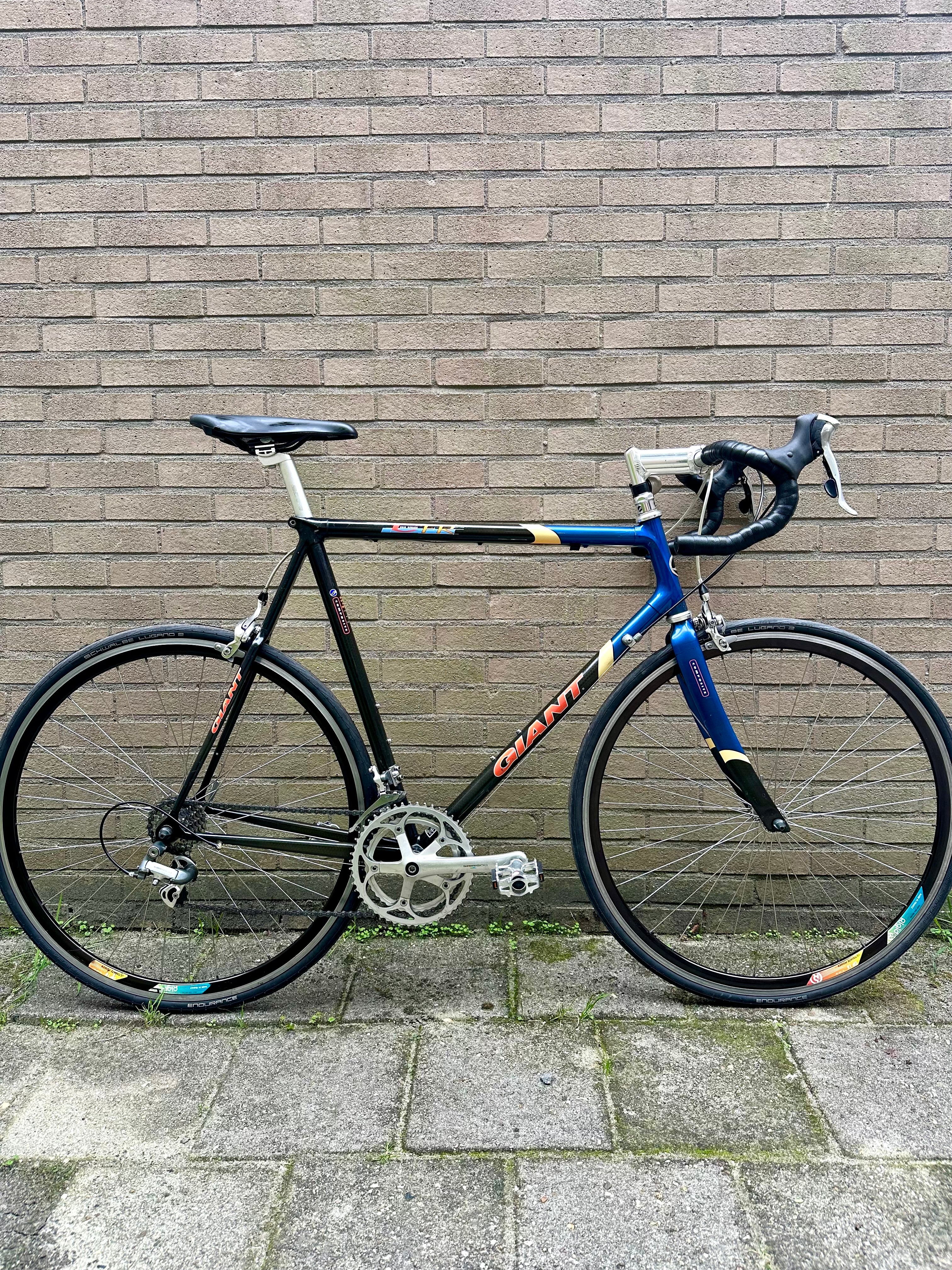 Giant Cadex Cfr 61cm Shimano 600 tricolor – Retro Bike Rotterdam