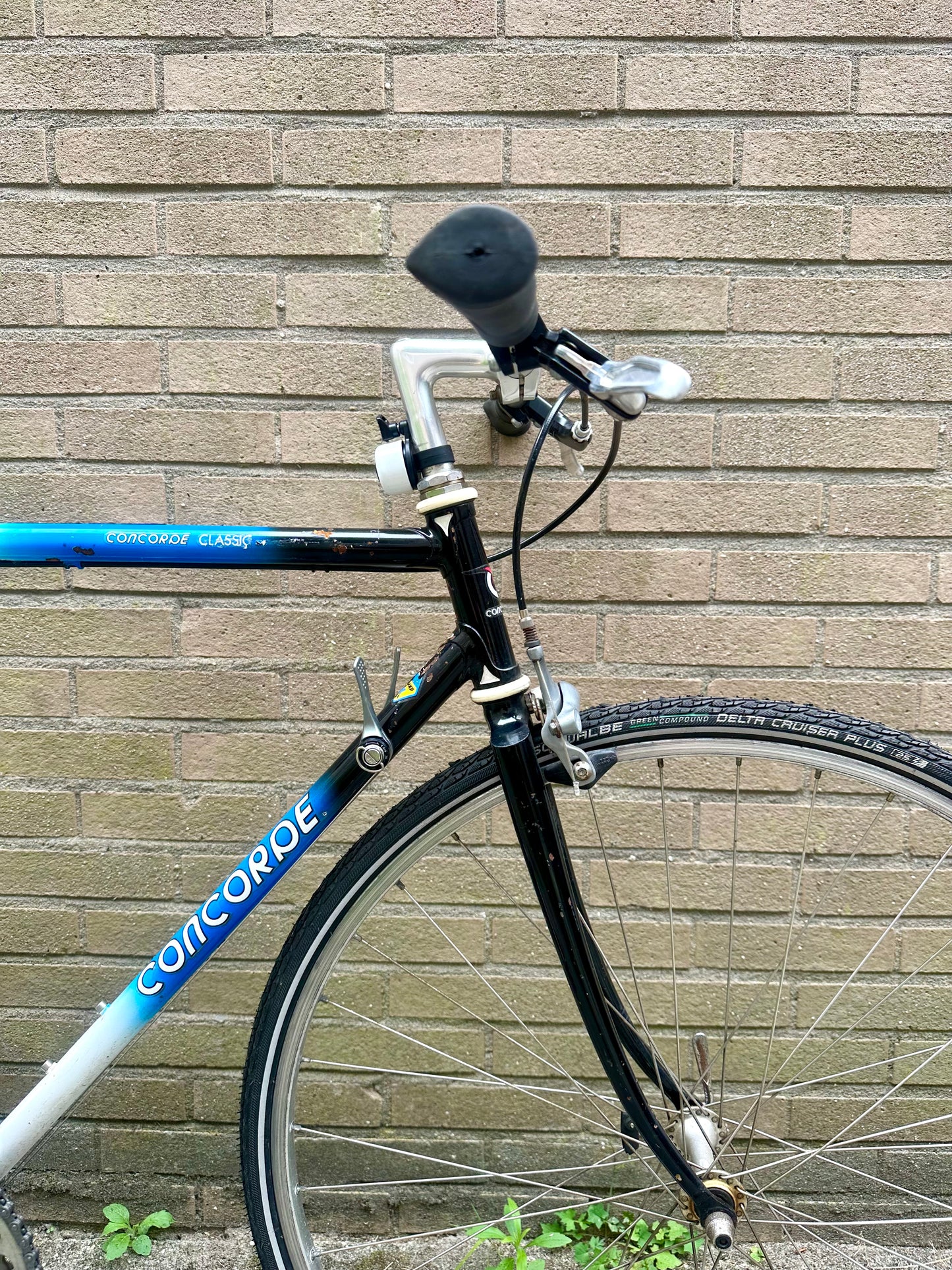 Concorde Classic 54cm