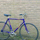 Giant Peloton Lite 56cm
