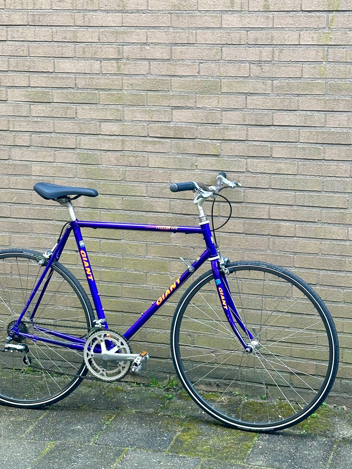 Giant Peloton Lite 56cm