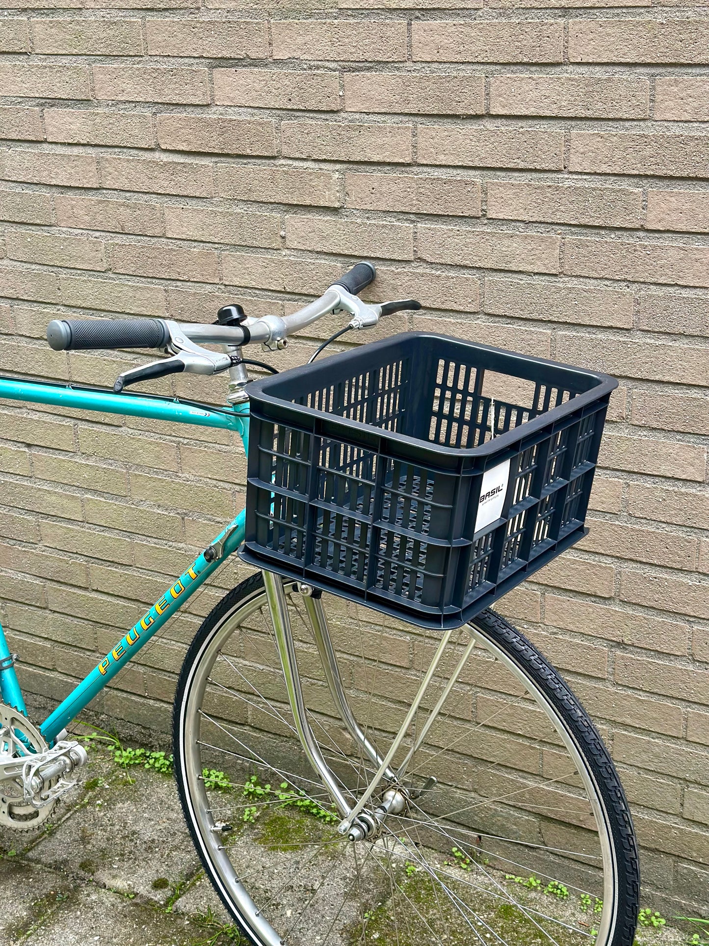 Peugeot Course 59cm