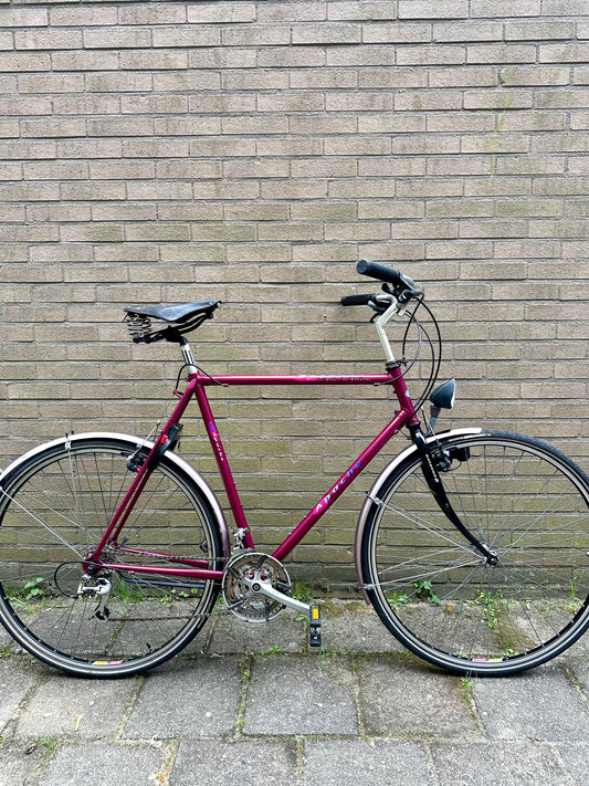 Batavus Apache 60cm