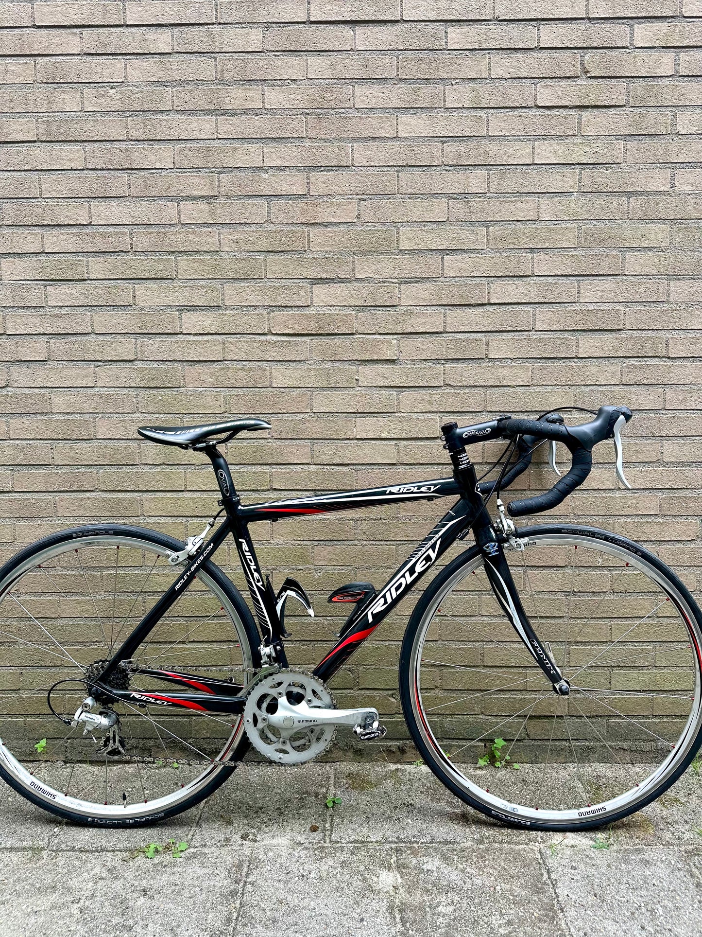 Ridley Fenix 48cm