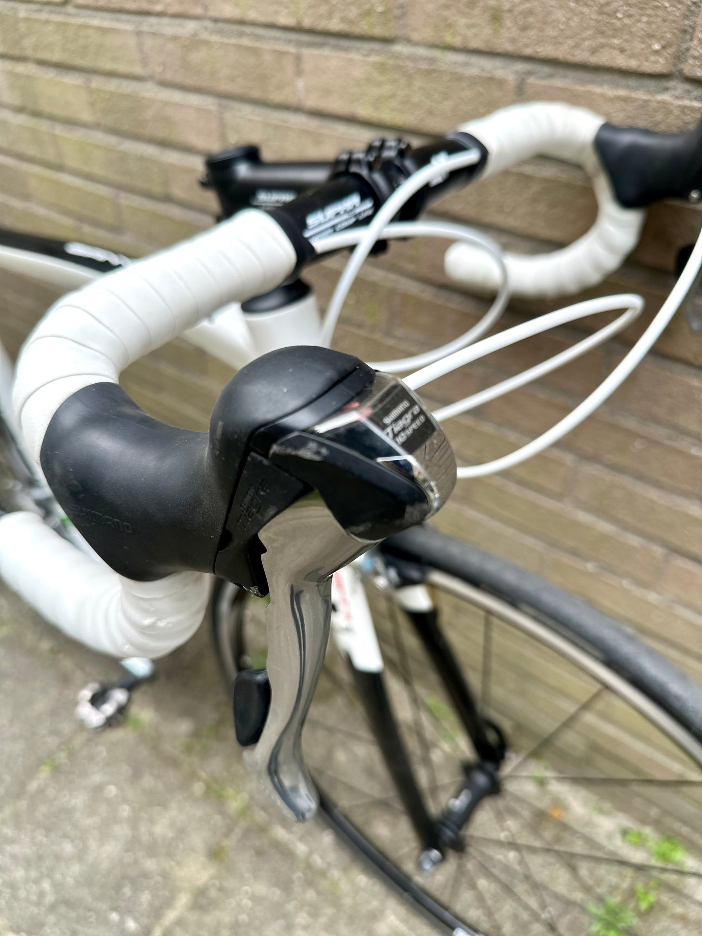 Giani Motta 56cm