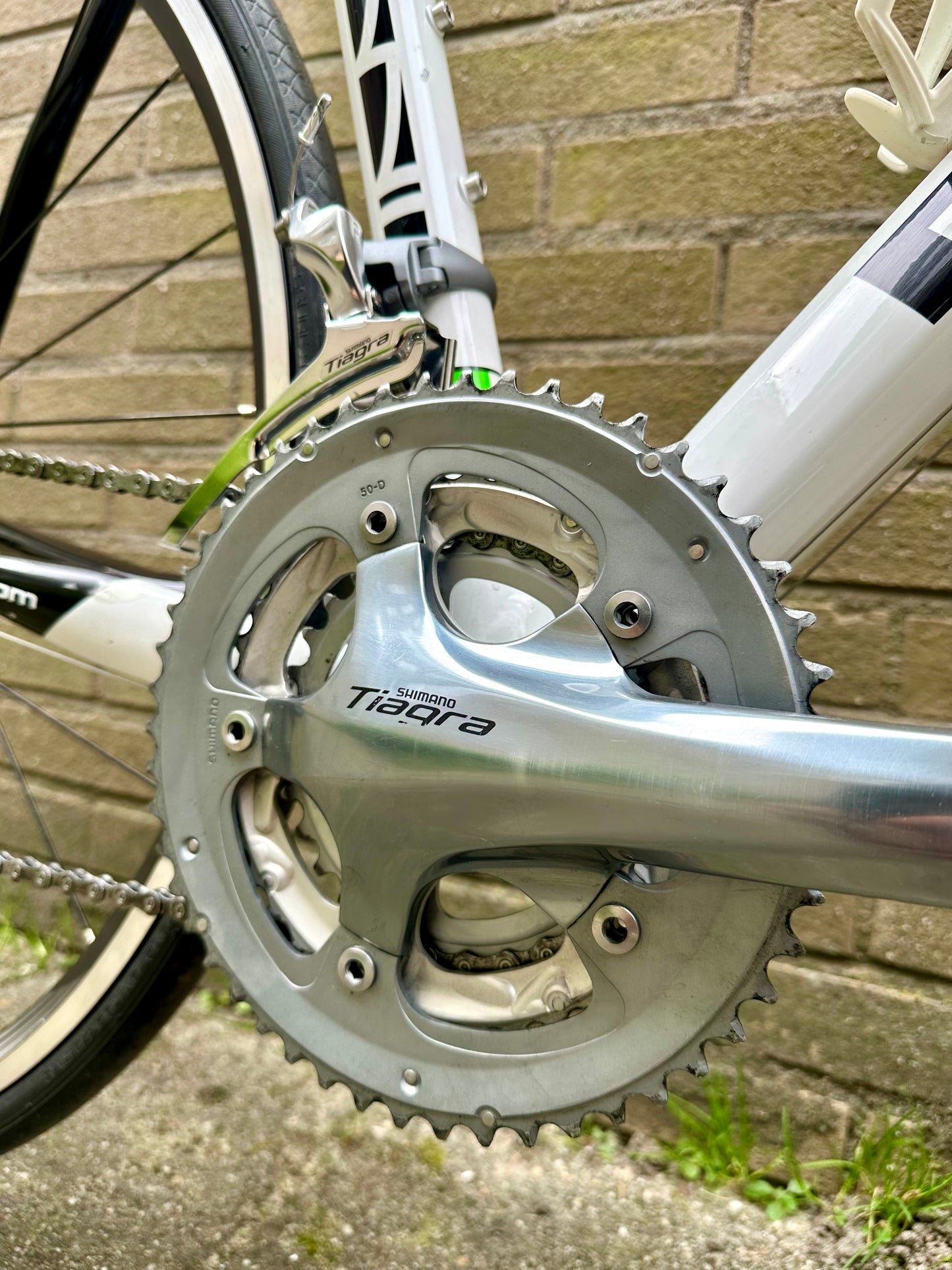 Giani Motta 56cm