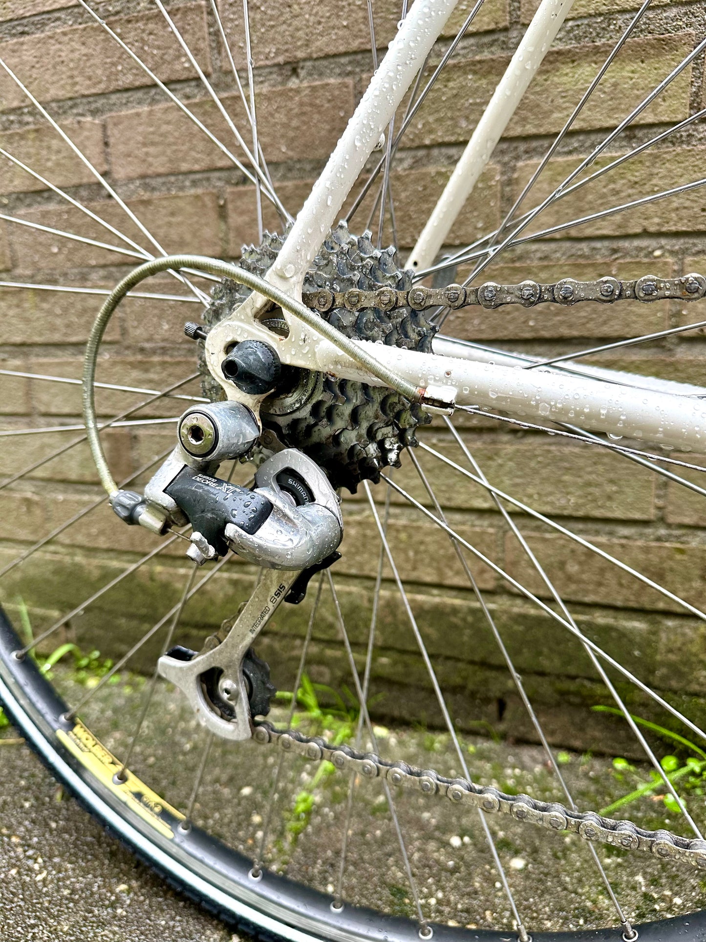 Koga Miyata Runner 54cm