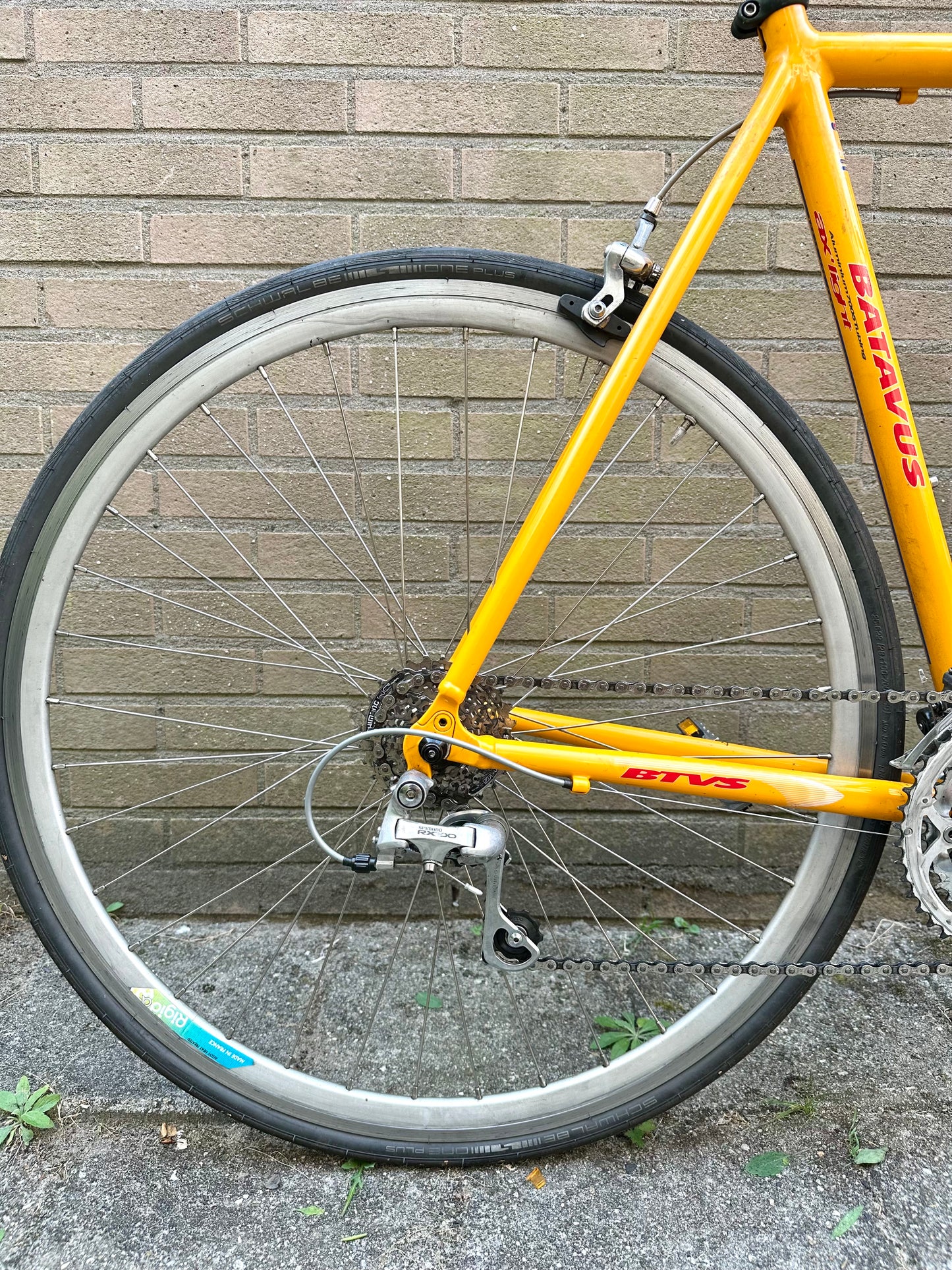 Batavus AX light 56cm