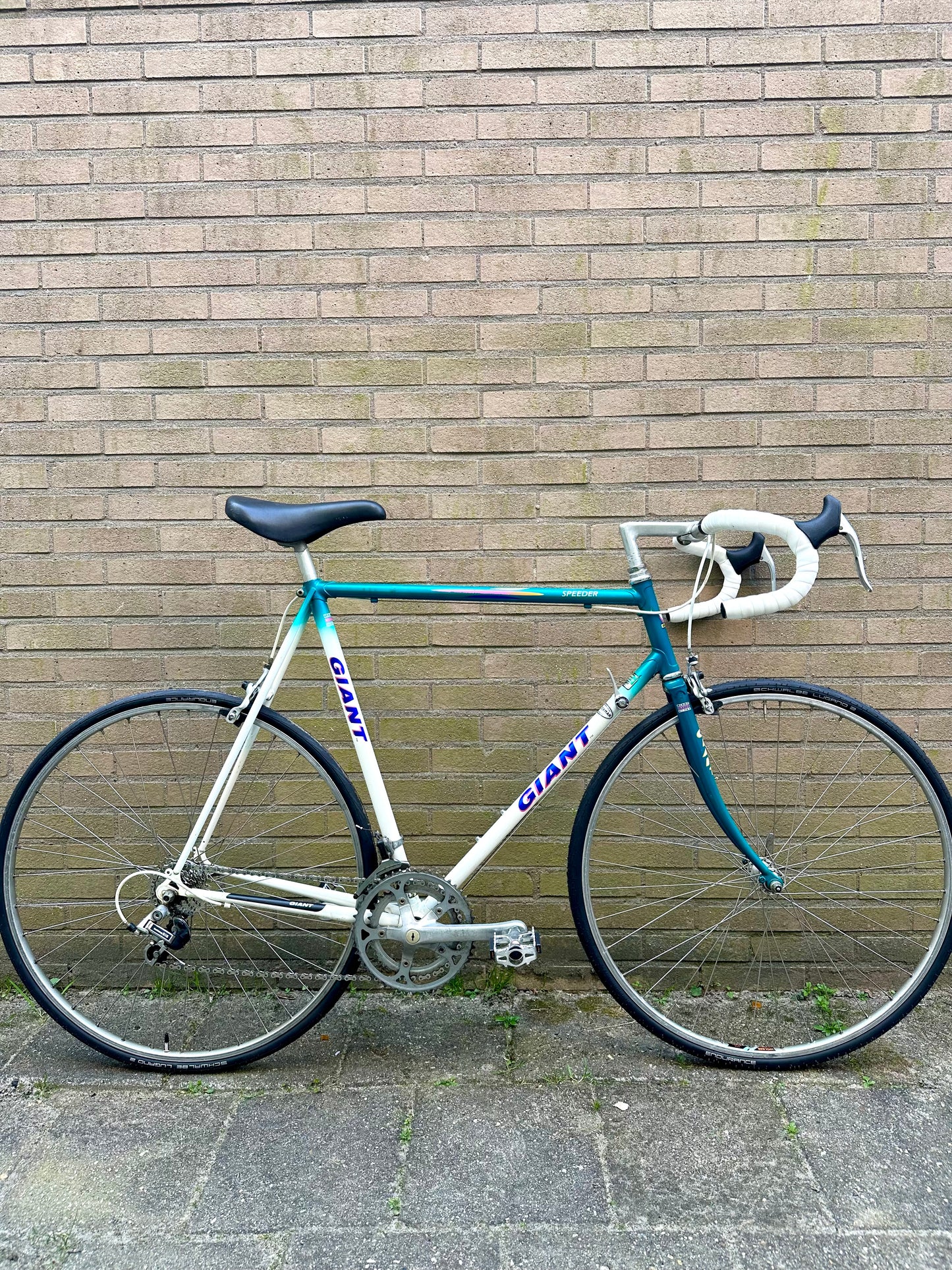 Giant Speeder 63cm