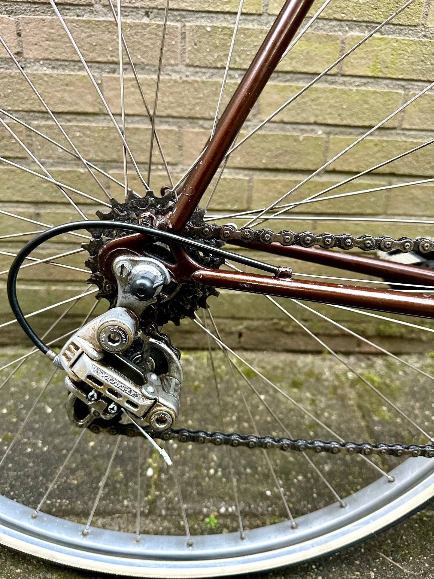 70's Gazelle Champion Mondial 60cm