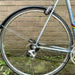 Gazelle Trim Trophy 60cm