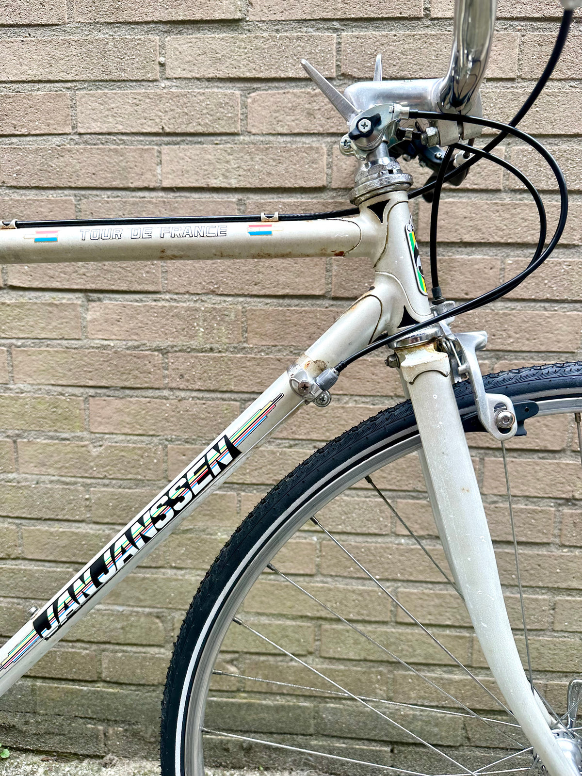 Jan Jansen Tour de France 50cm