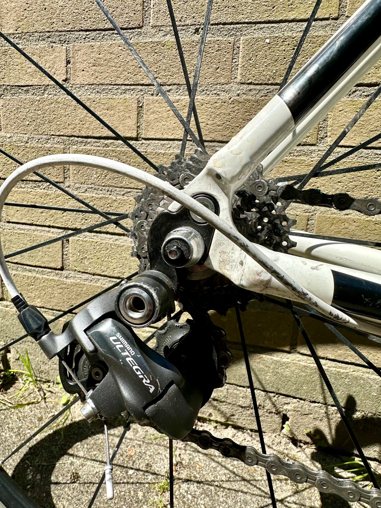 Bulls Dessert Falcon 2 Shimano Ultegra 9S