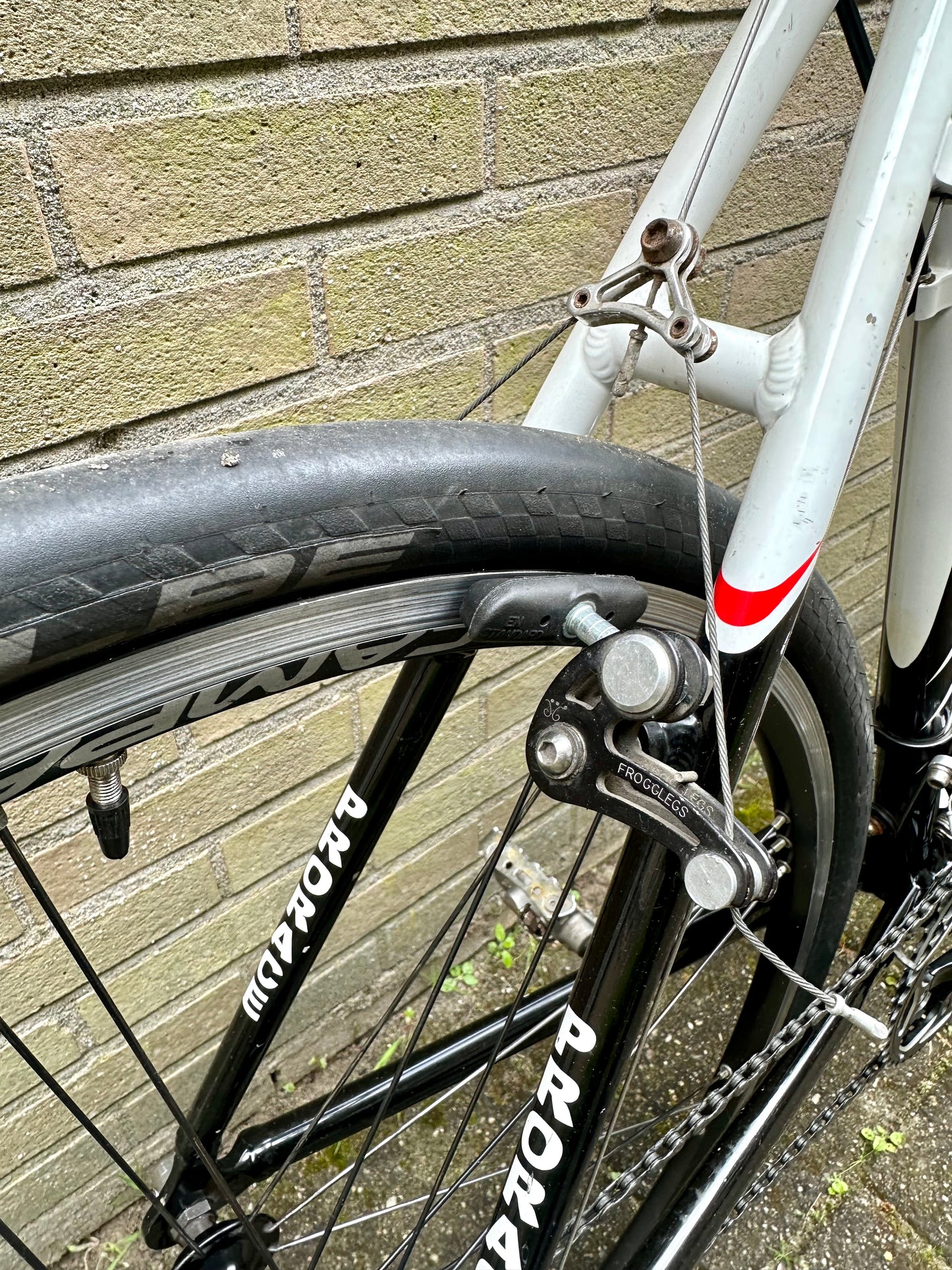 Prorace 56cm Campagnolo 10s