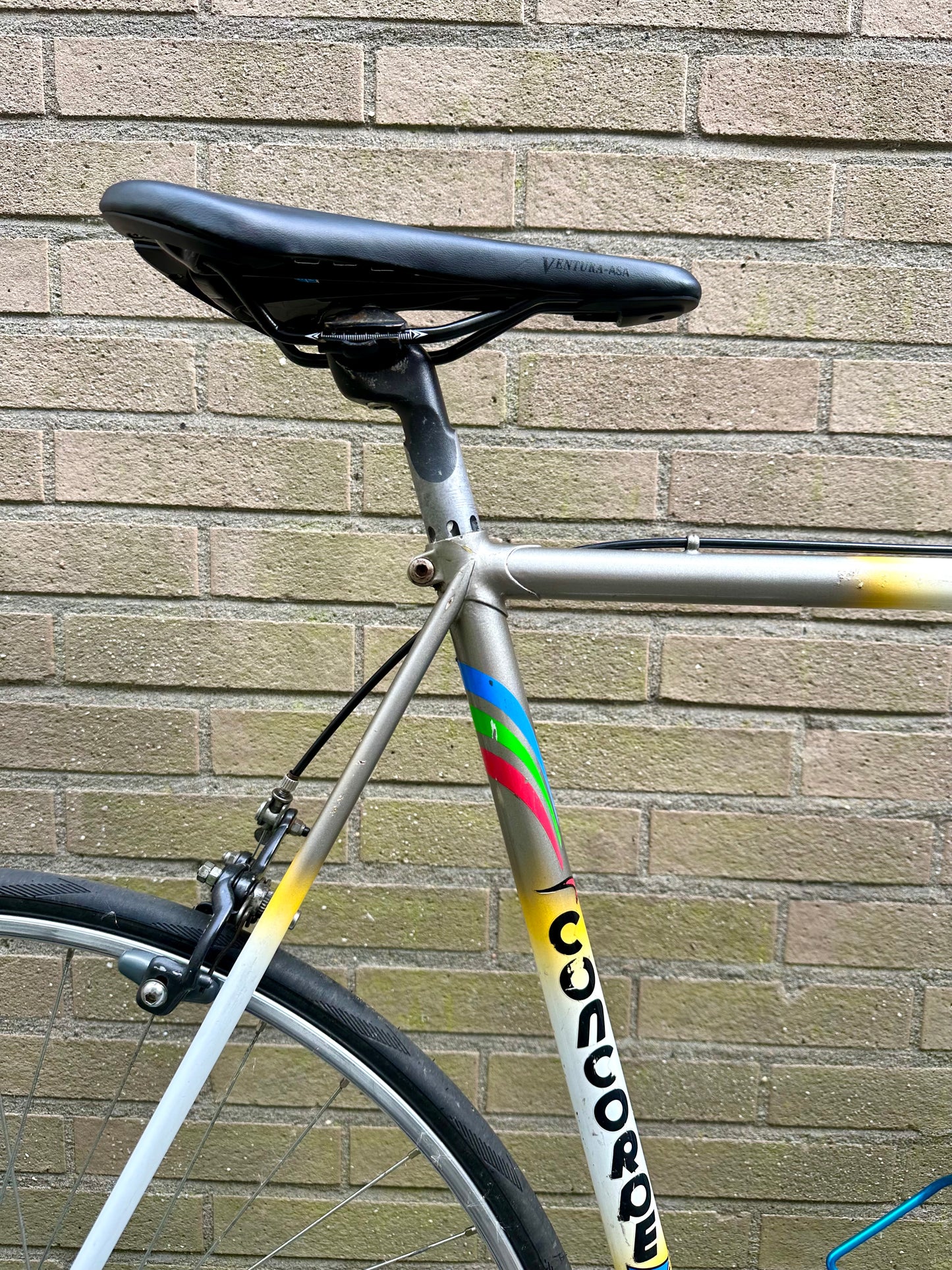 Concorde 60cm