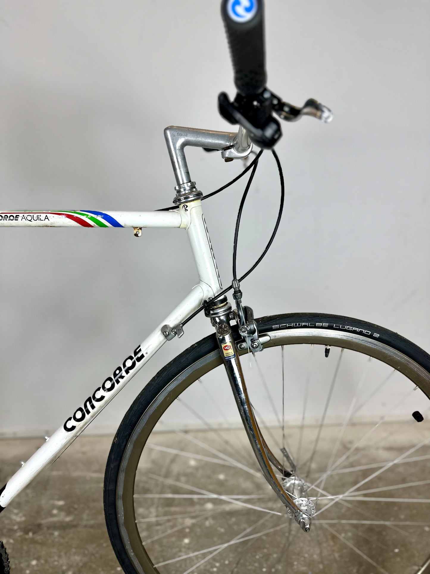 Concorde Aquila PDM 60cm