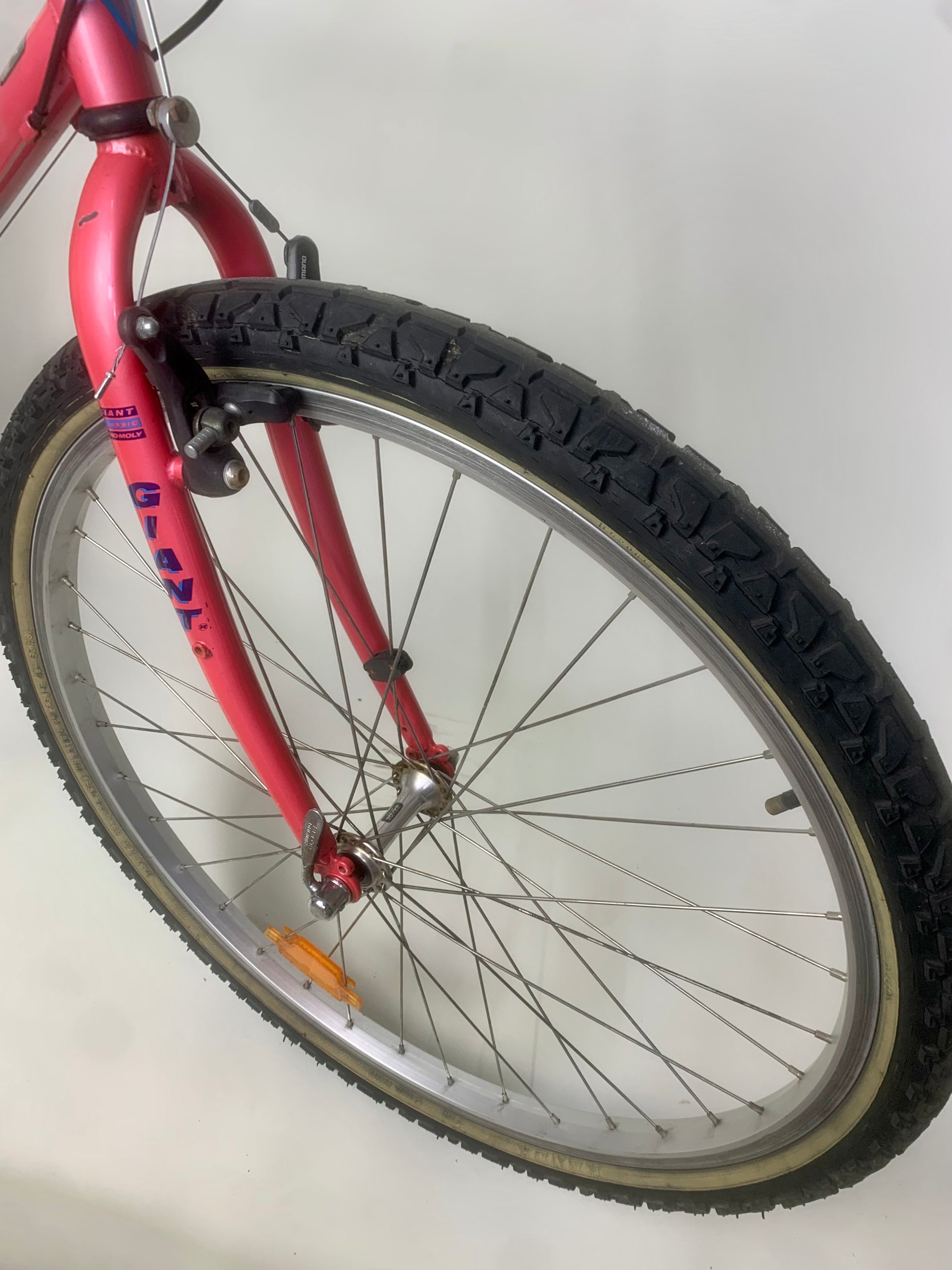 1991 giant iguana mountain bike sales
