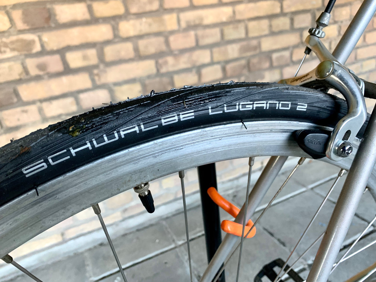 My vintage ciocc build, soon to have a campagnolo record fitted My vintage ciocc build, soon to have a campagnolo record fitted