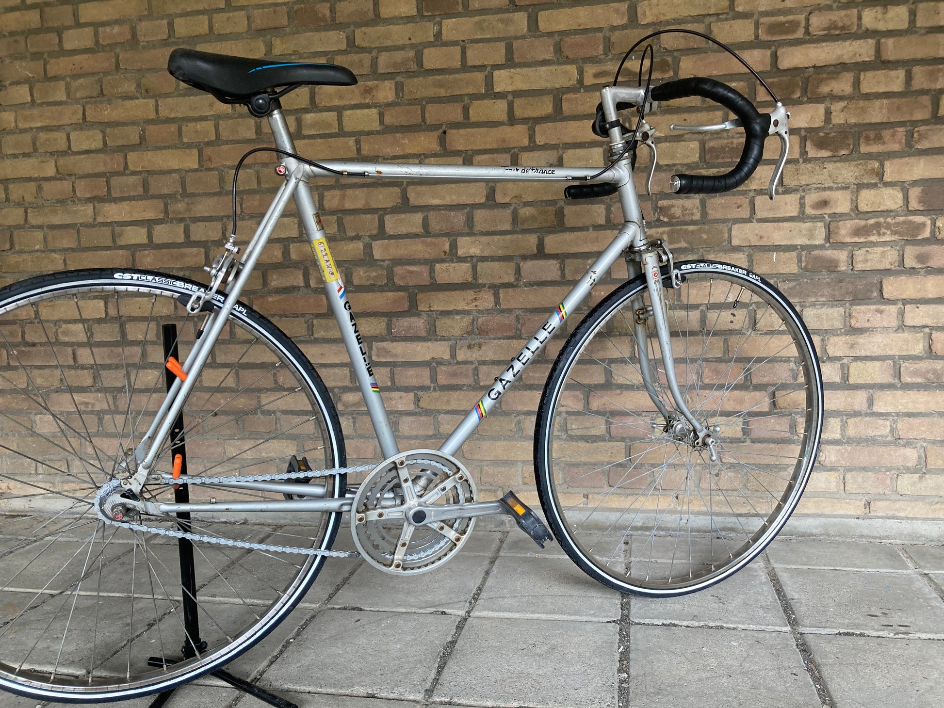 Gazelle online single speed