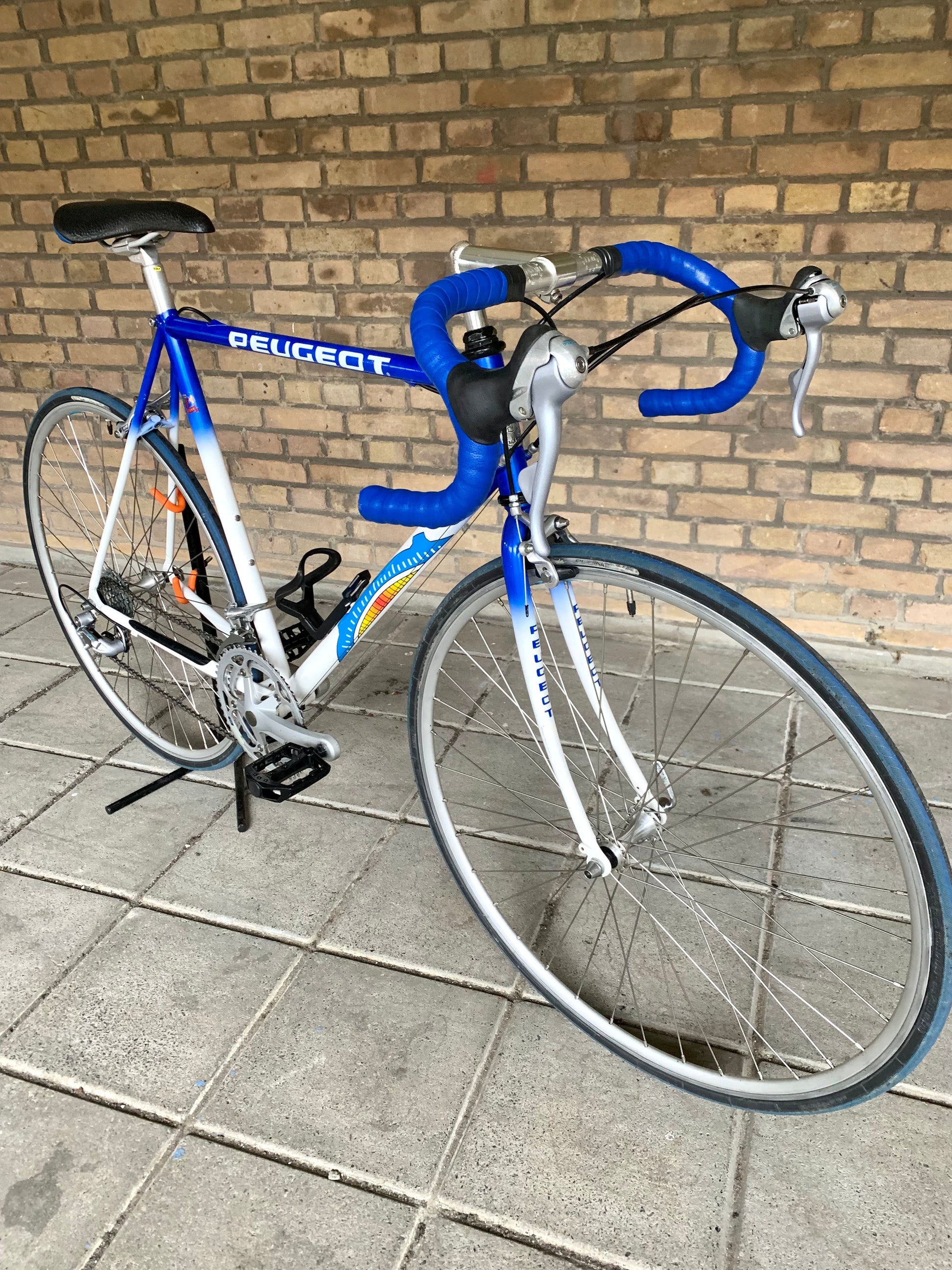 peugeot festina rennrad 1998 Peugeot Team Festina Replica 56cm Shimano RSX – Retro Bike Rotterdam